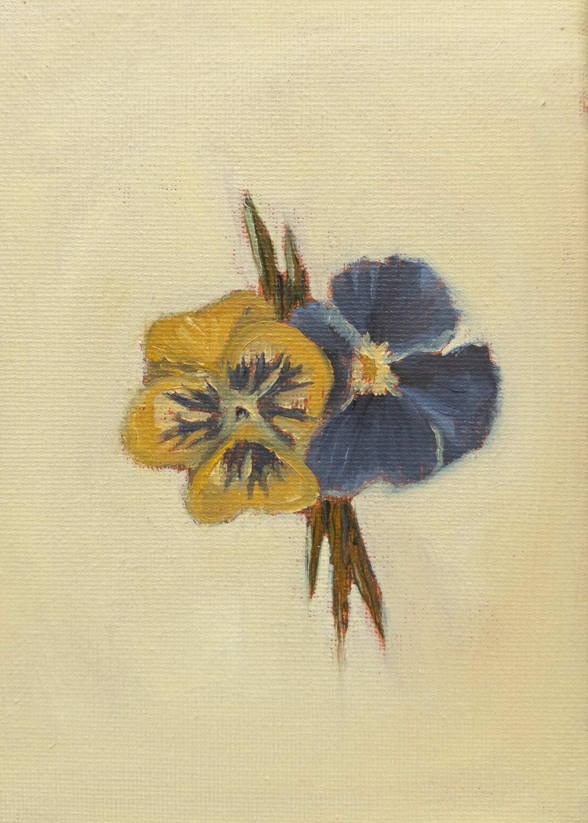 Pansy Original Oil Painting