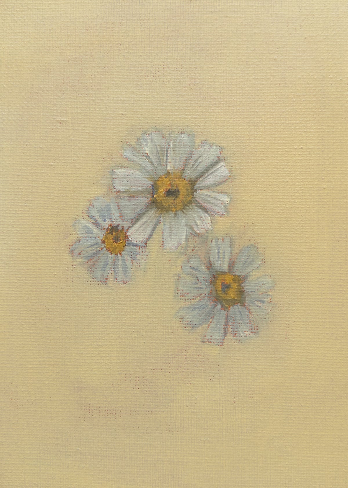 Chamomile Original Oil Painting