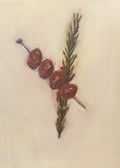 Cranberry Print