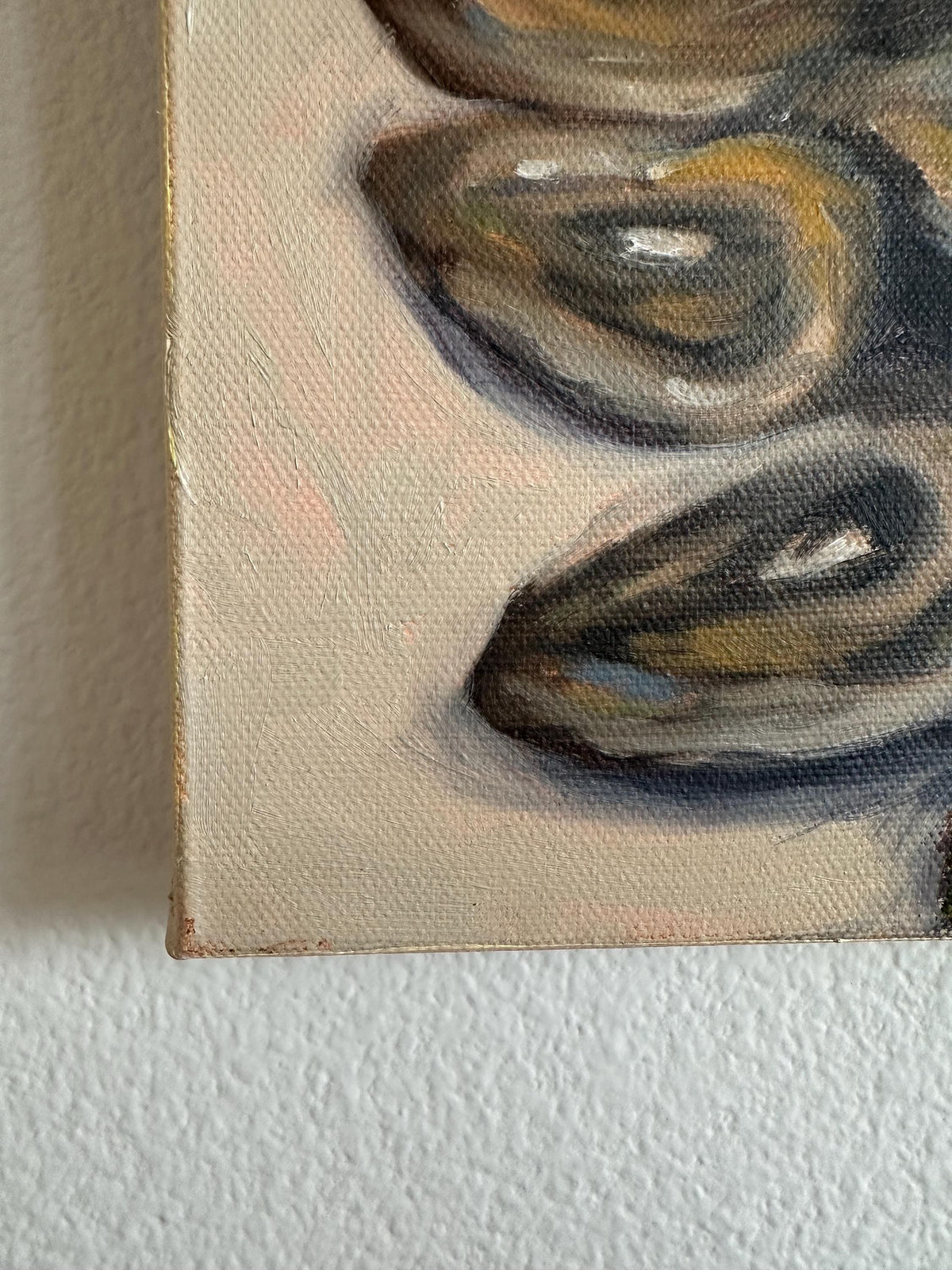 Oyster 8x8inch Original in Maple Frame