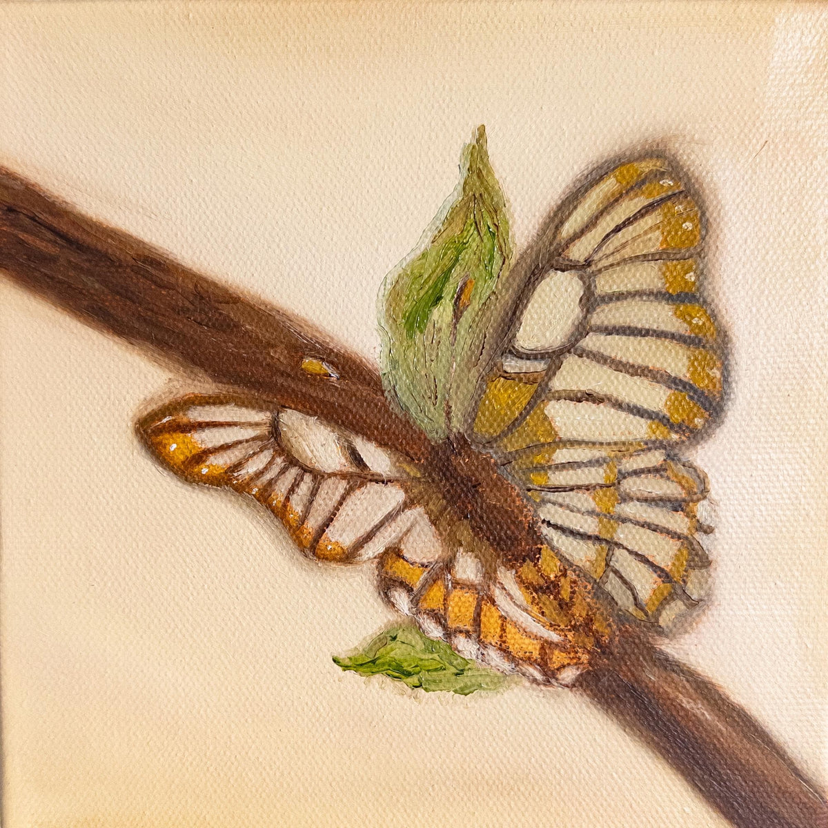 Butterfly Print