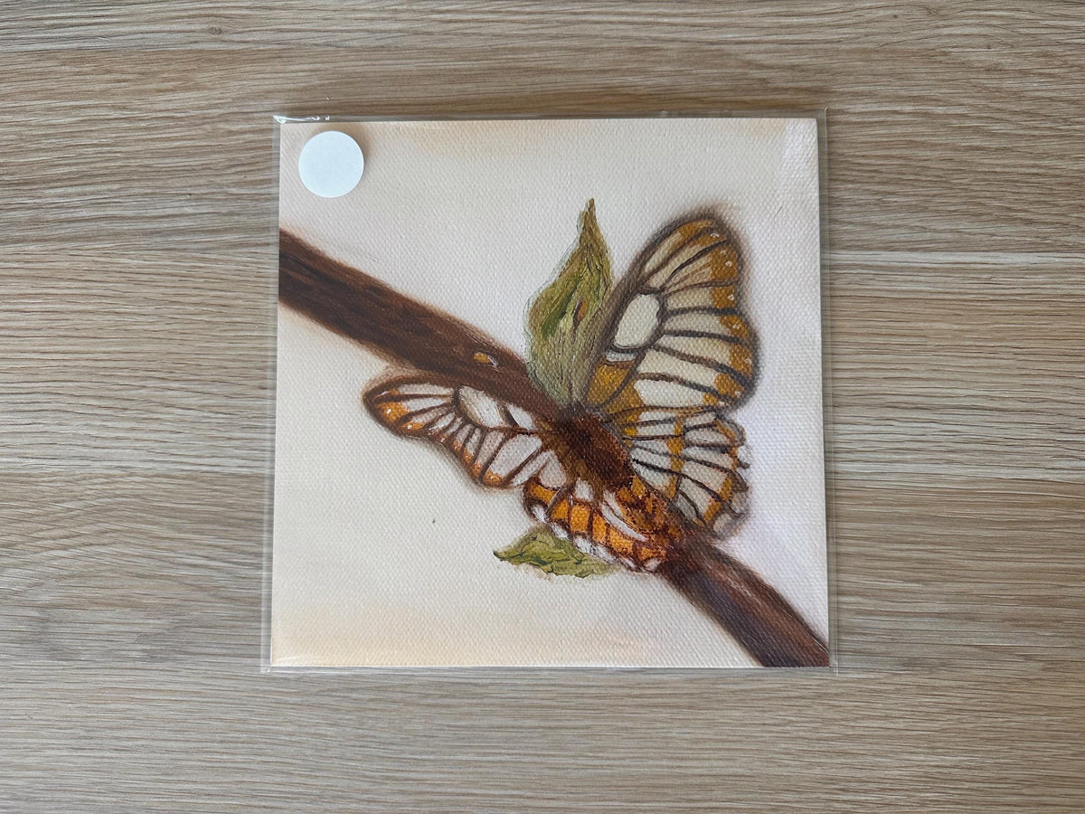 Butterfly Print