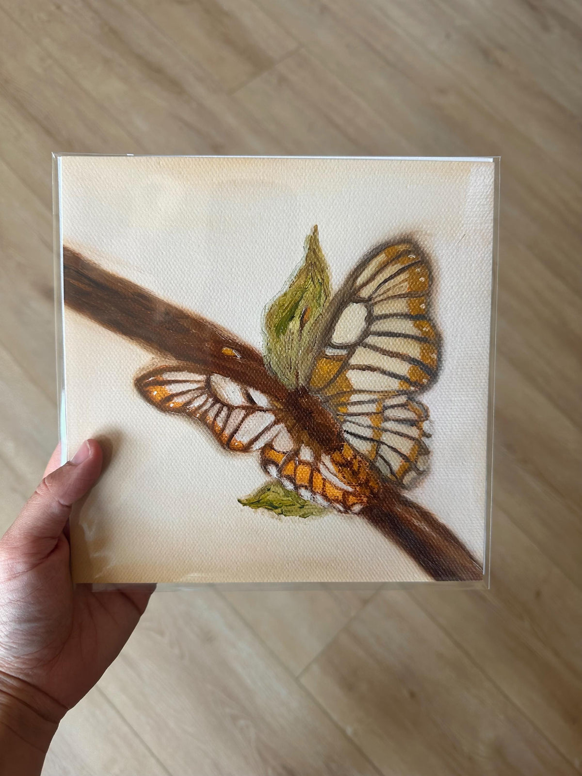 Butterfly Print