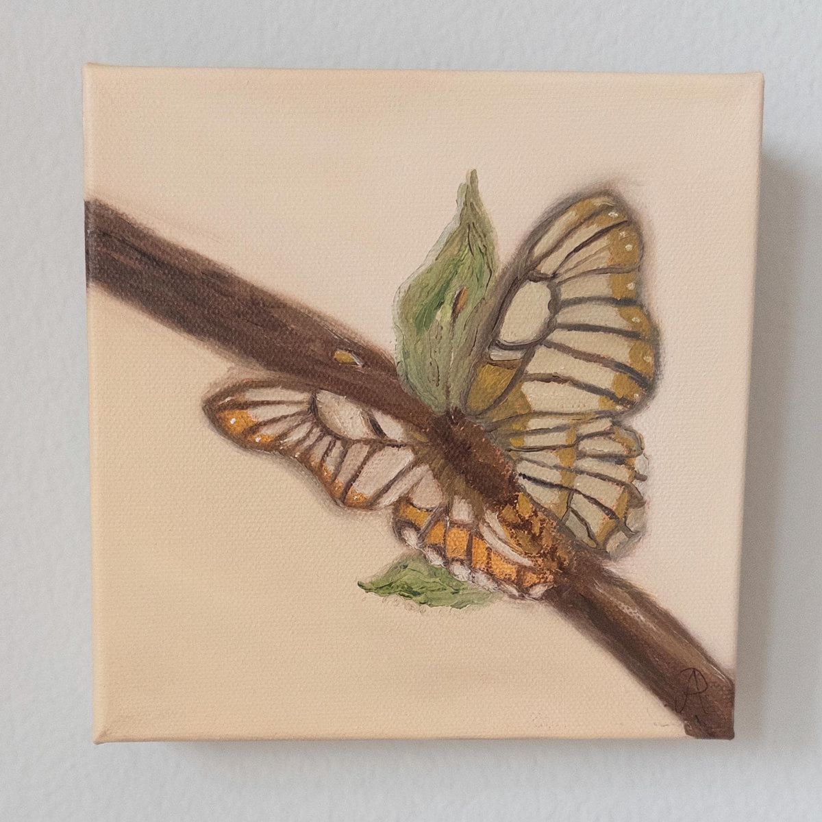 Butterfly 6x6inch Original in Maple Frame